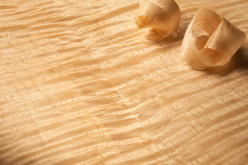 Close-up of maple figure and fine wood shavings